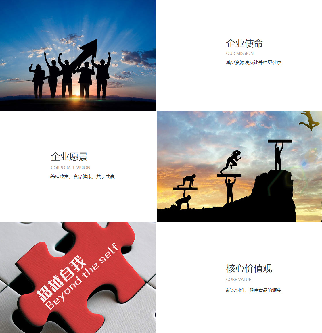 ag旗舰厅官方网站官网(图1)